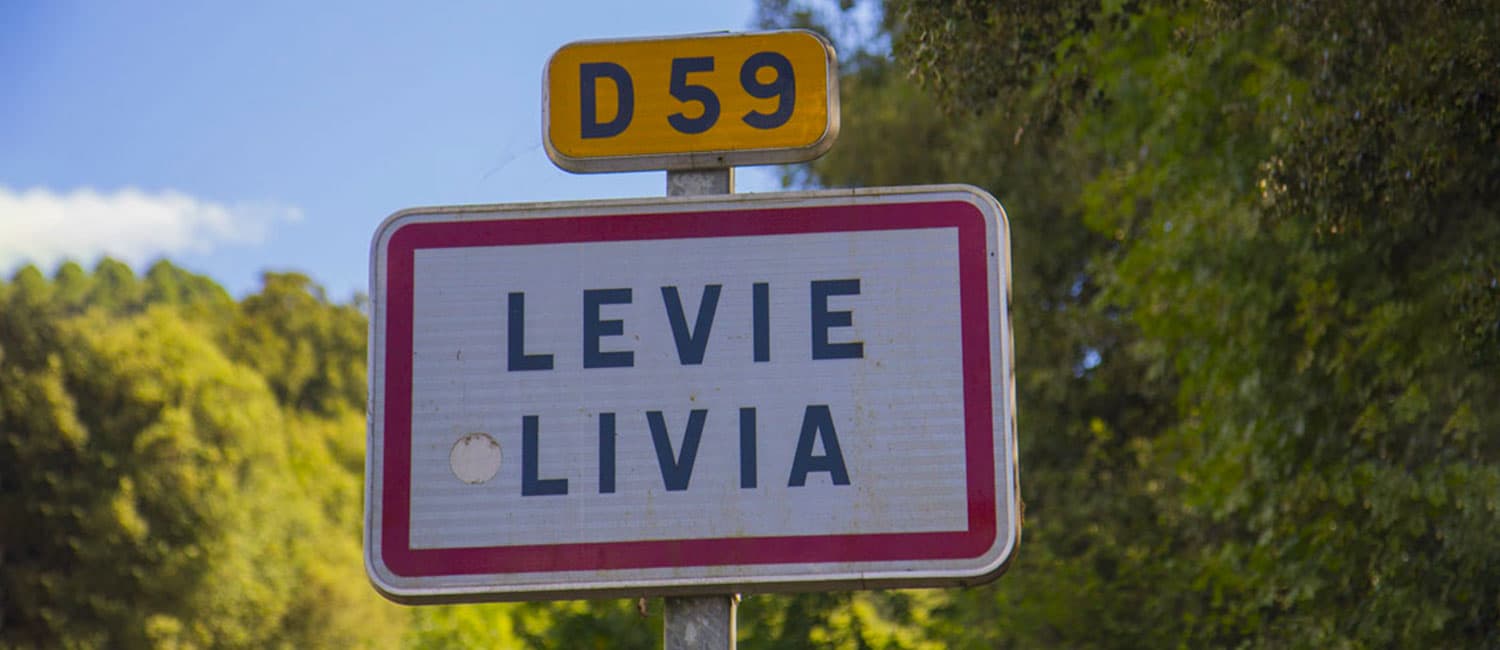 Permanences France Services à Levie (Août)